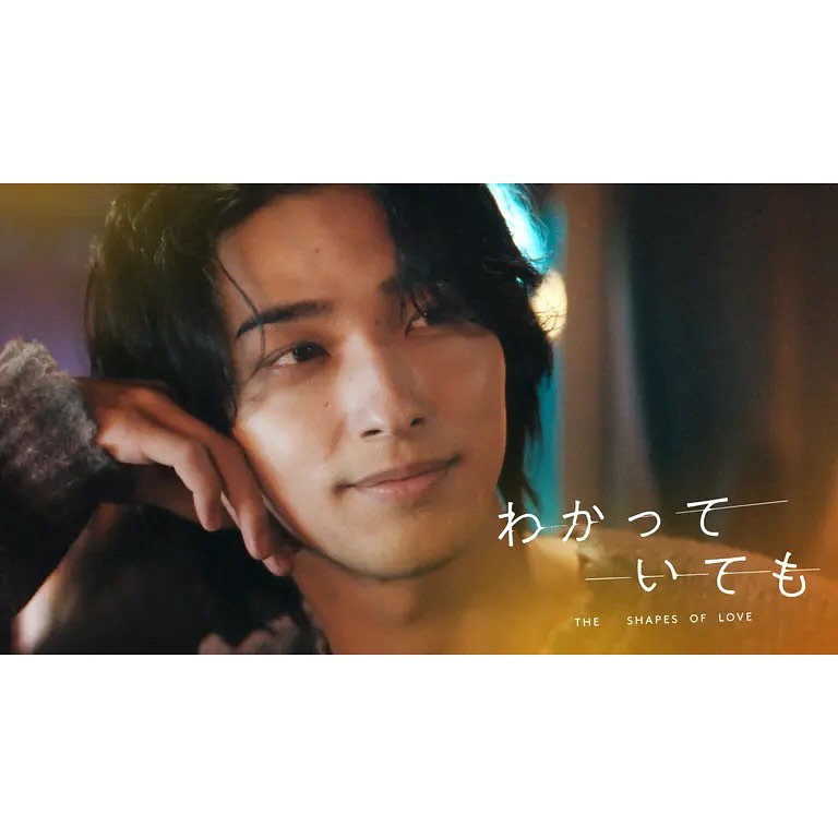 Netflix 「わかっていても the shapes of love」 